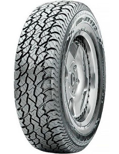 Neumatico Michelin 305/30Zr19 102Y Extra Load  Pilot...