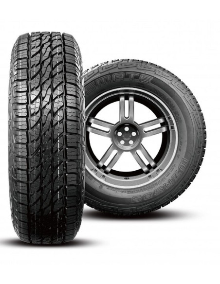 Neumatico Goodride 225/65R17 102T Su318