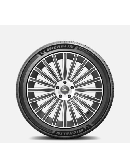 Neumatico Michelin 285/45 R21 113Y Xl  Pilot Sport 4 Suv