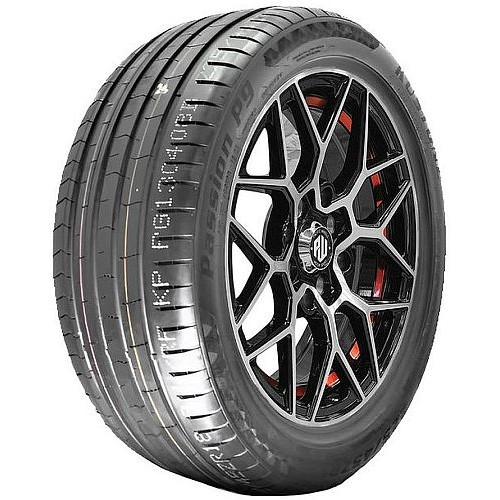 Neumático Kustone Passion P9  225/45 R19 96W